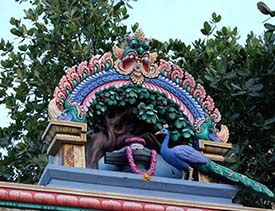 Mylapore Peacock Trail